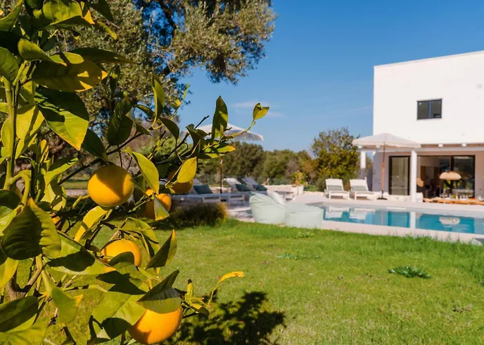 Musci By Perle Di Puglia *